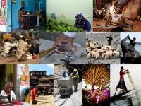 Concours photos 2015