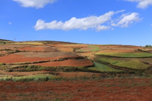 - 东川 红 土地 - Coup de coeur Red Lands