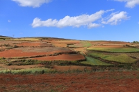 - 东川 红 土地 - Coup de coeur Red Lands