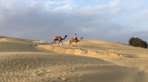 Voyager au Rajasthan
