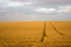 La diagonale du vide