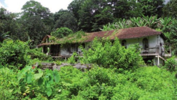 Roça dans un état de délabrement avancé