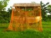 Globe Trot'art en Asie