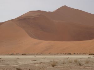 VOYAGE EN TERRE AUSTRALE