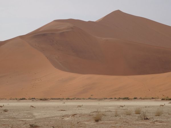 VOYAGE EN TERRE AUSTRALE