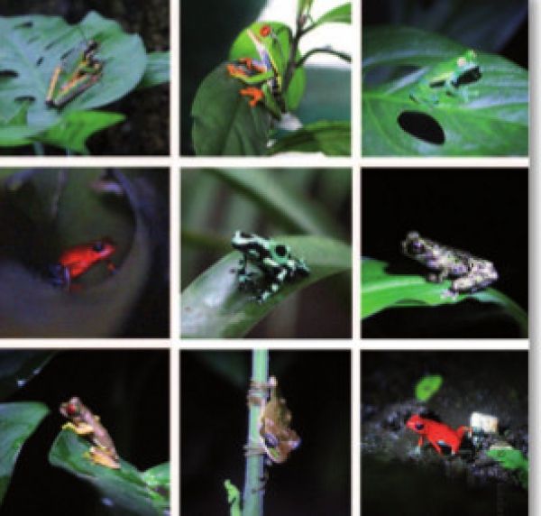 Costa Rica