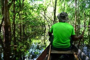 Amazonie quand tu nous tiens !