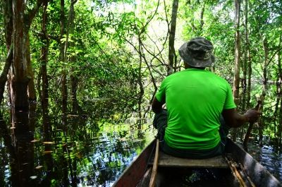 Amazonie quand tu nous tiens !