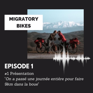 Migratory bikes !
