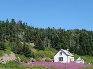 Fred au Canada