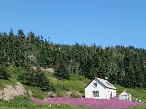 Fred au Canada