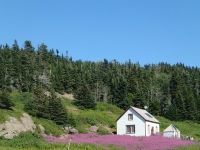 Fred au Canada