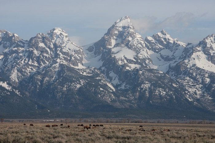 Grand Teton NP