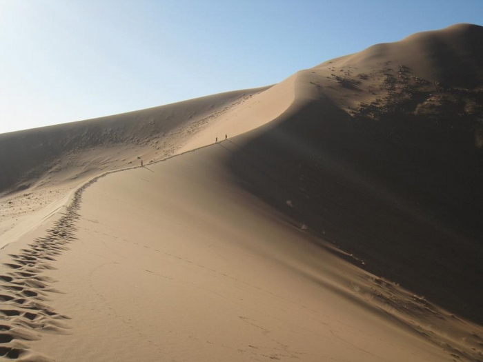 namib desert