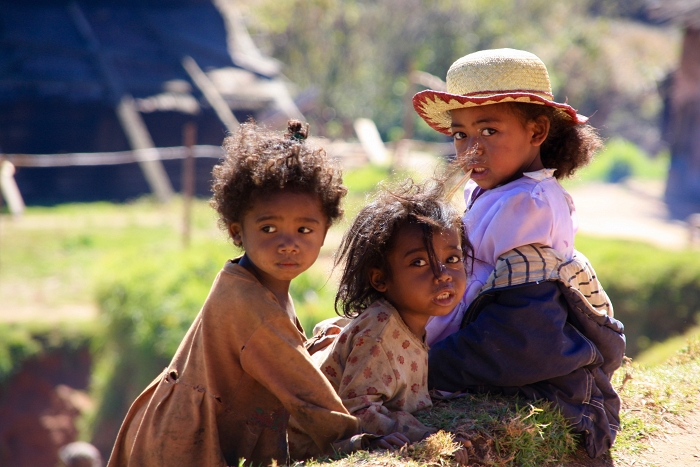 Petites Curieuses