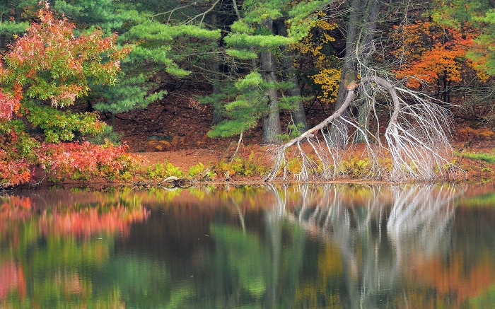 Reflet d'automne - USA