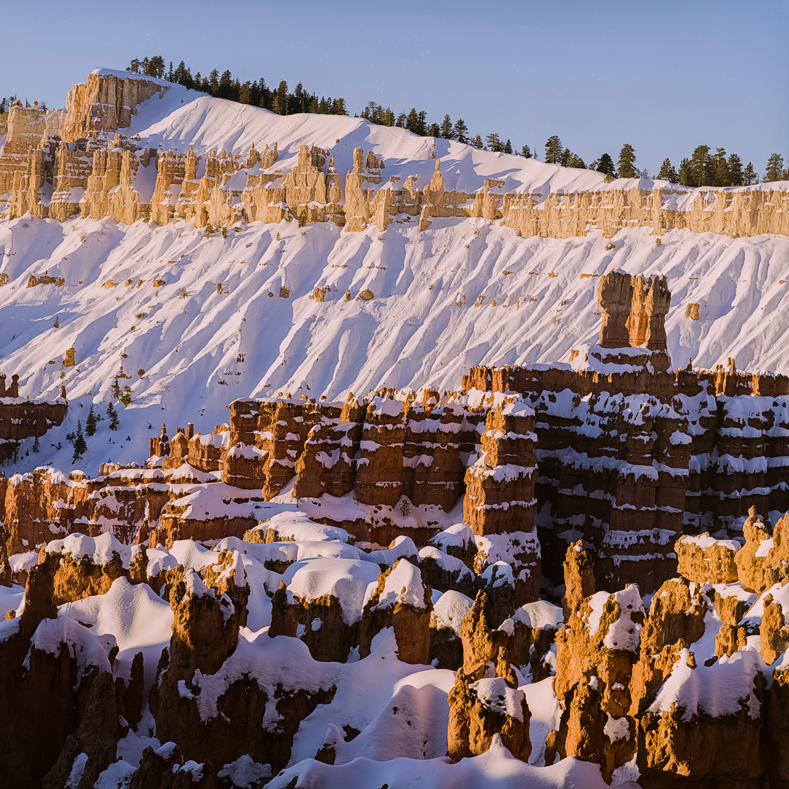 En hiver, les fées enfilent leurs robes blanches…