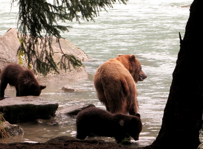 promenade en famille